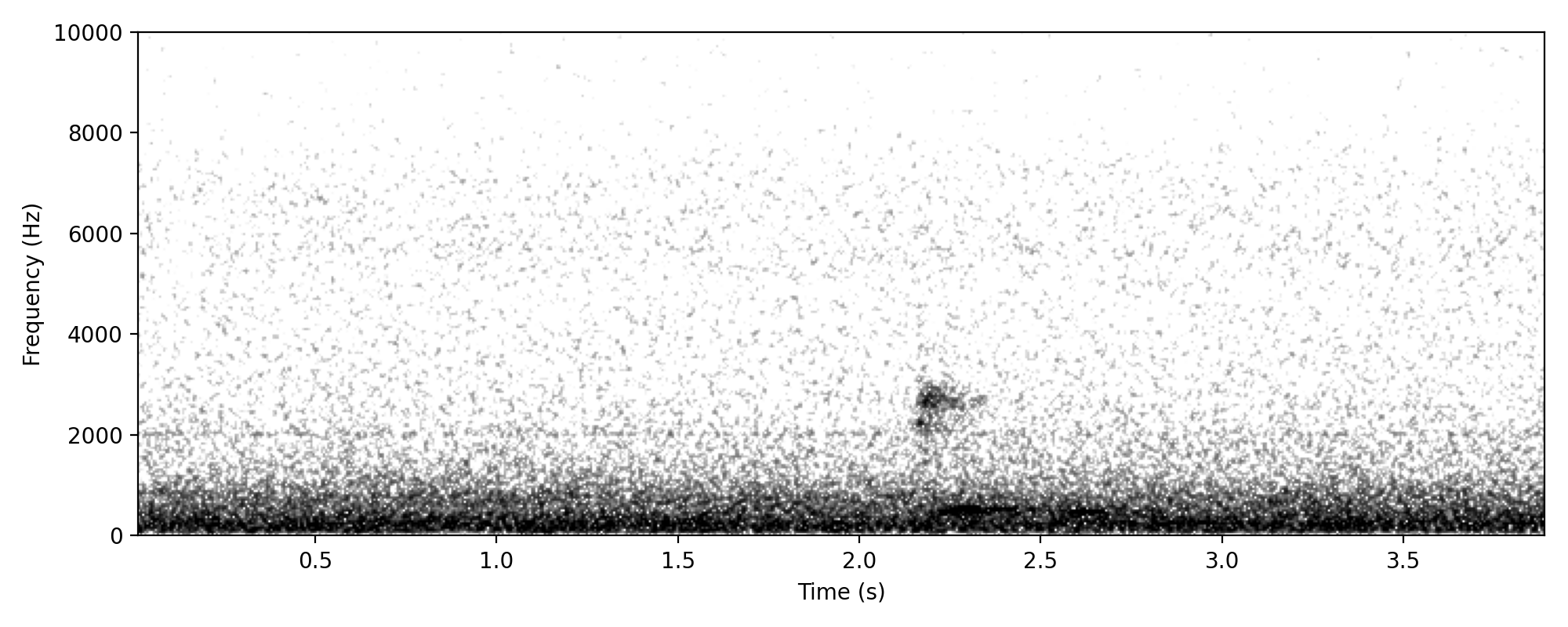 Australian Boobook BOOBOOK CALL