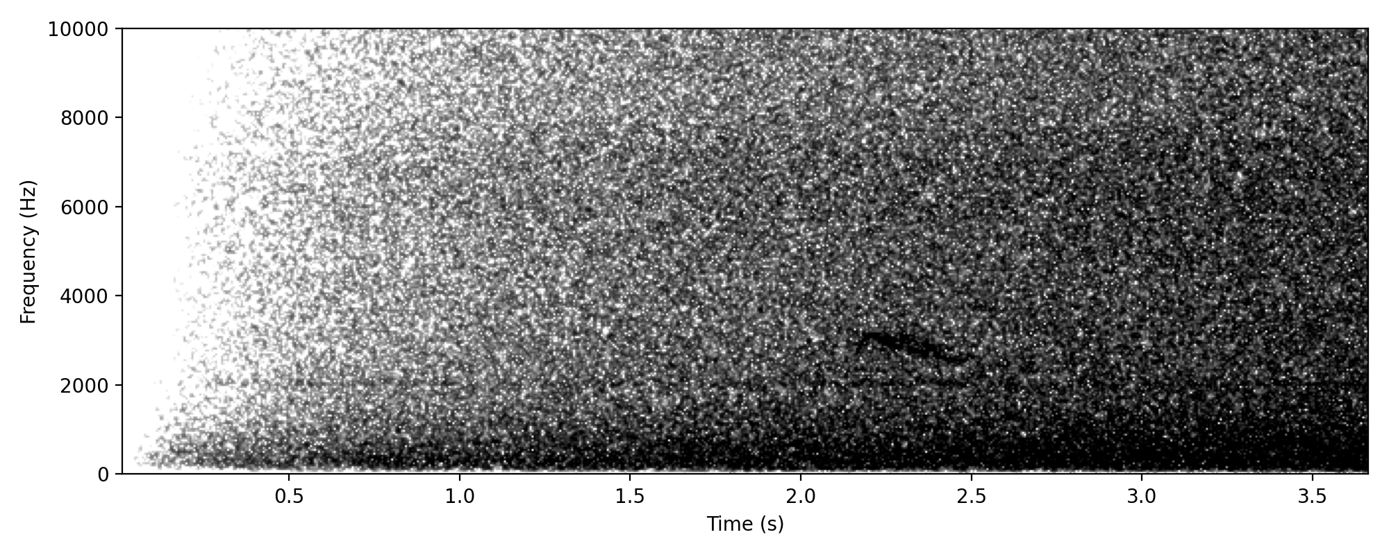 bronze-cuckoo-like tremulous