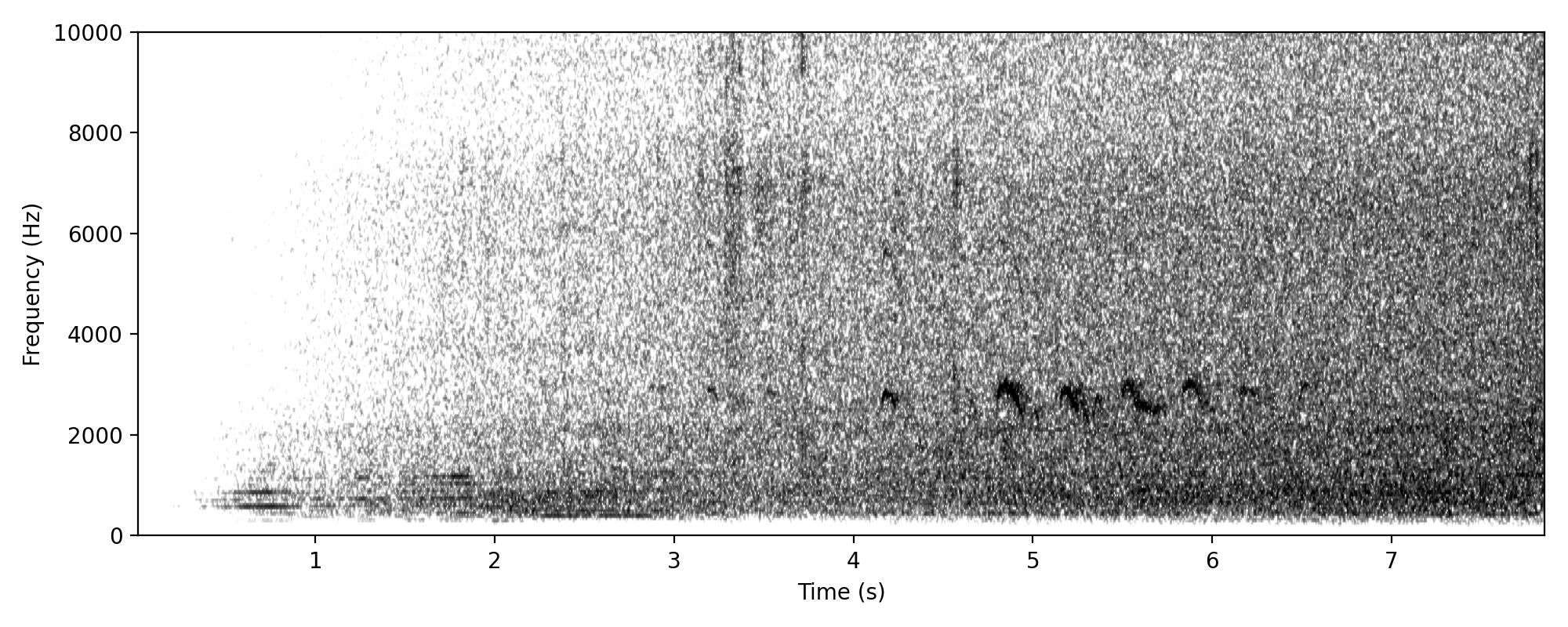 shorebird-like mewing