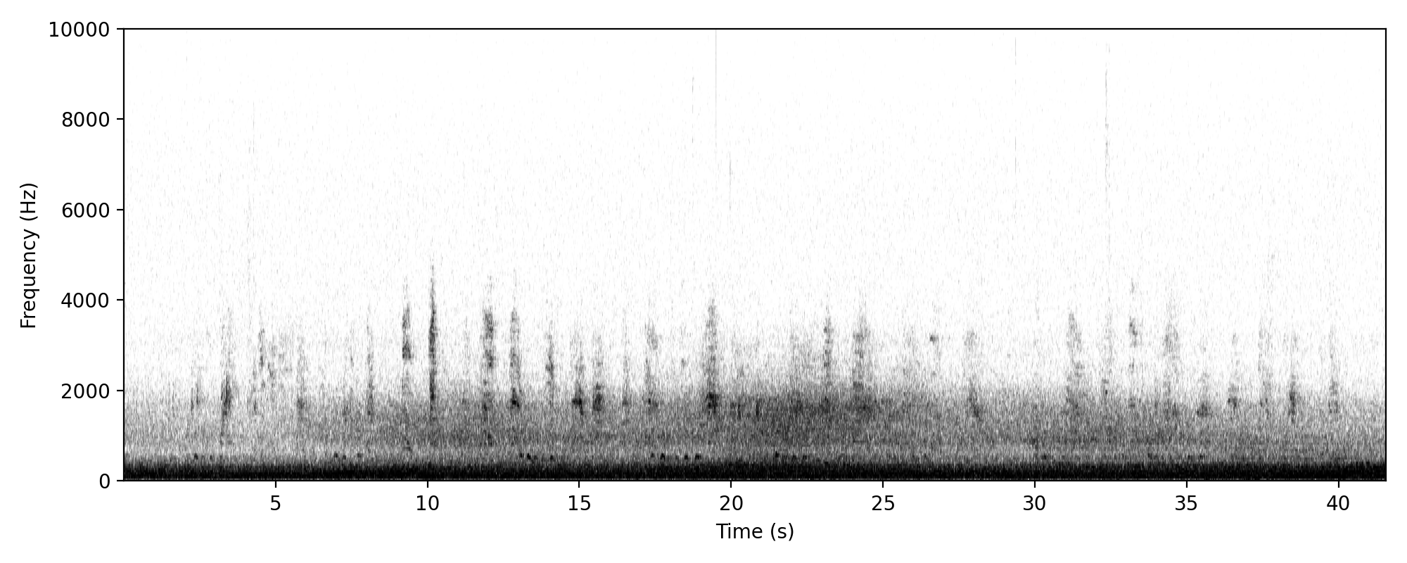 scratchy rasp ibis-like