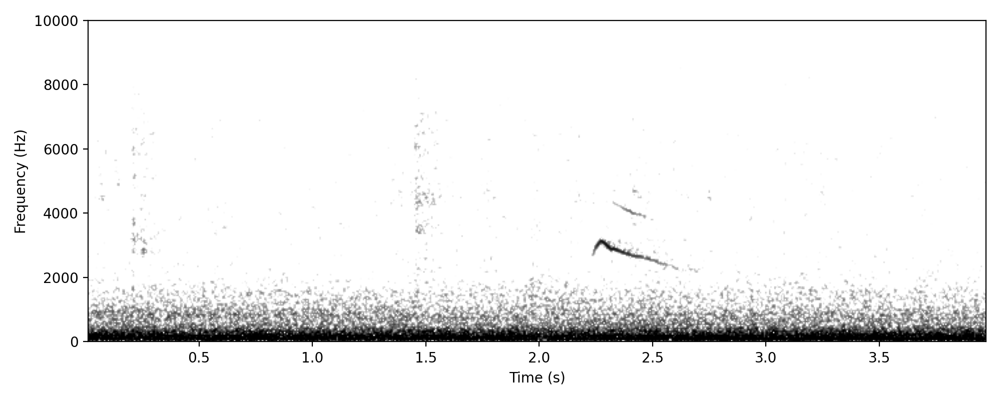 Typical single downward slurring call note.