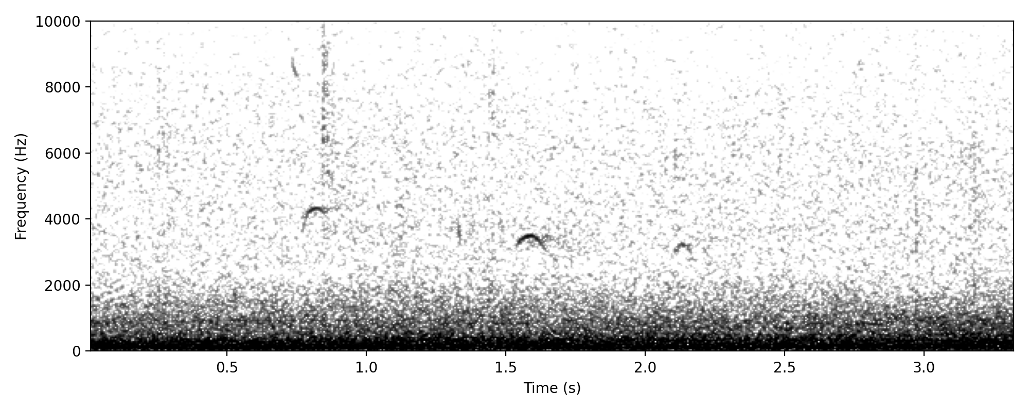Silvereye LINEAR CALL
