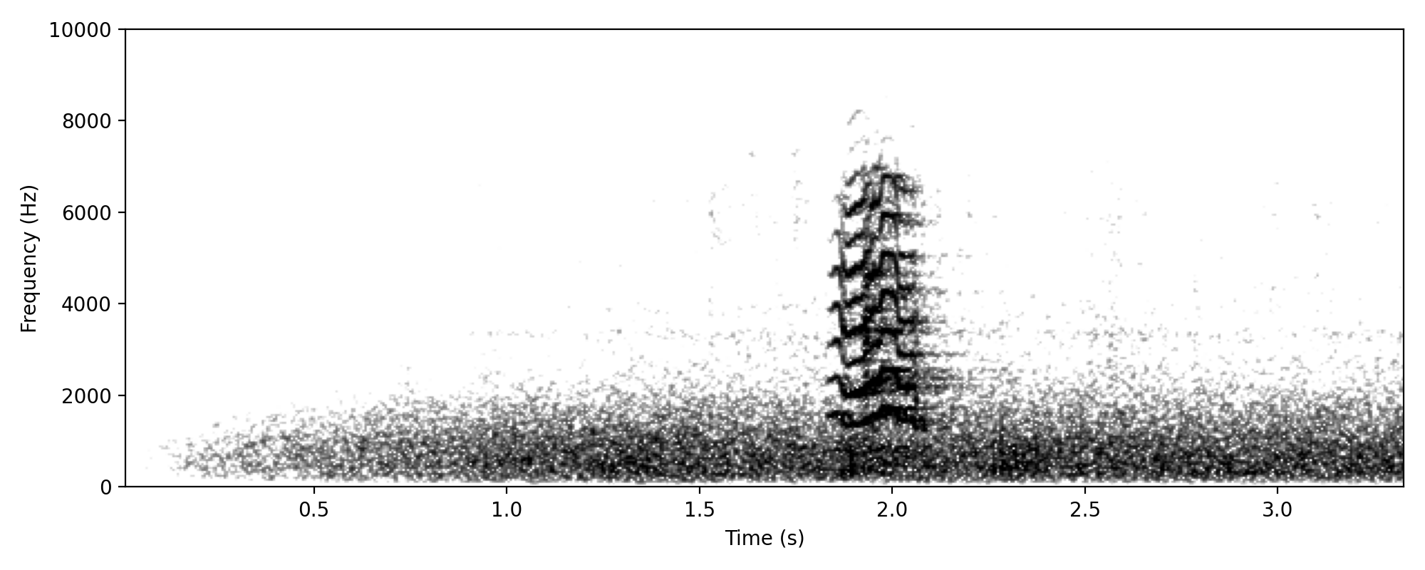 Little Corella CONTACT CALL