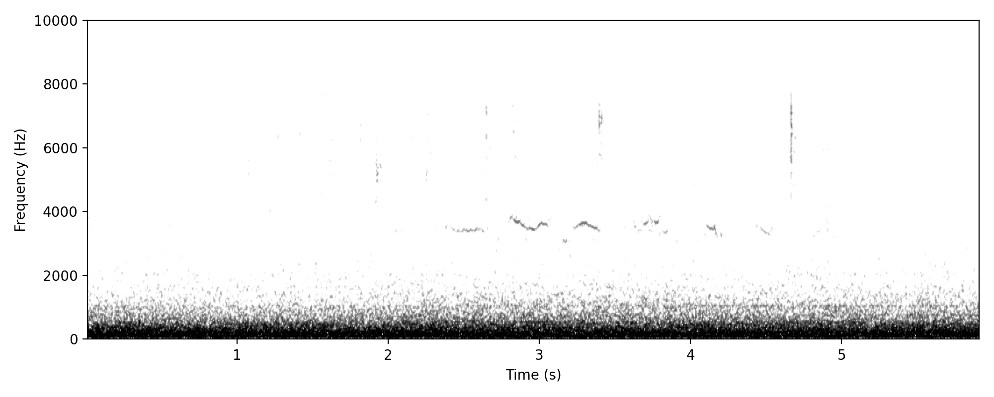 Maybe just Silvereye?