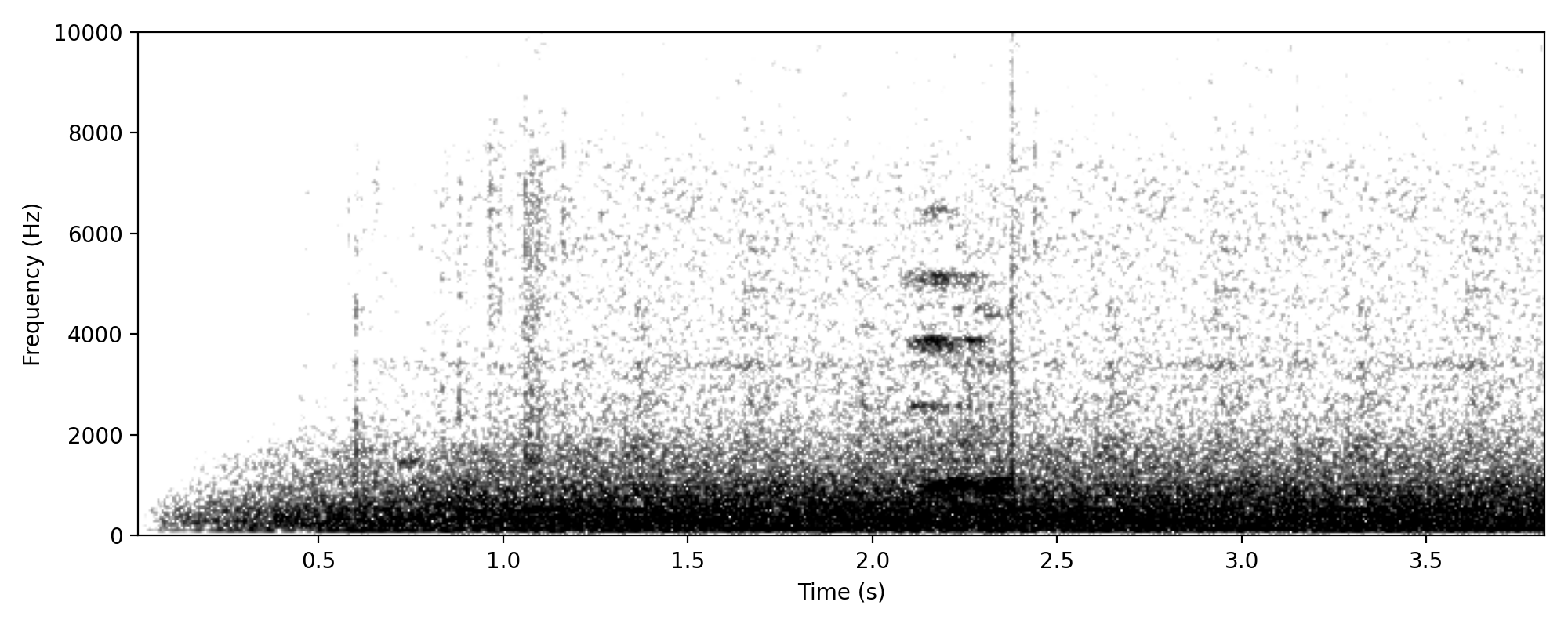 sudden harmonic squawk