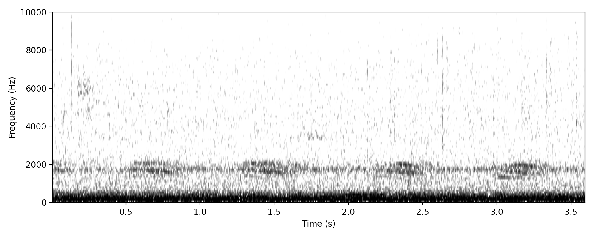 Torresian Crow TERRITORIAL CALL