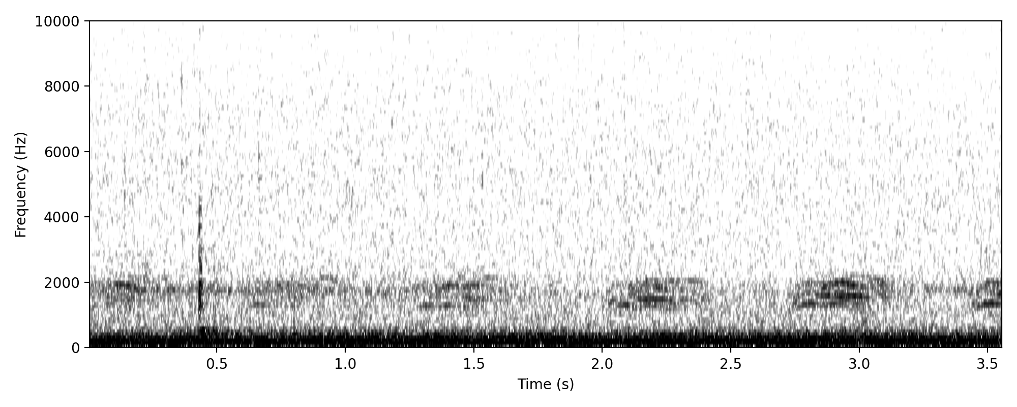 Torresian Crow TERRITORIAL CALL