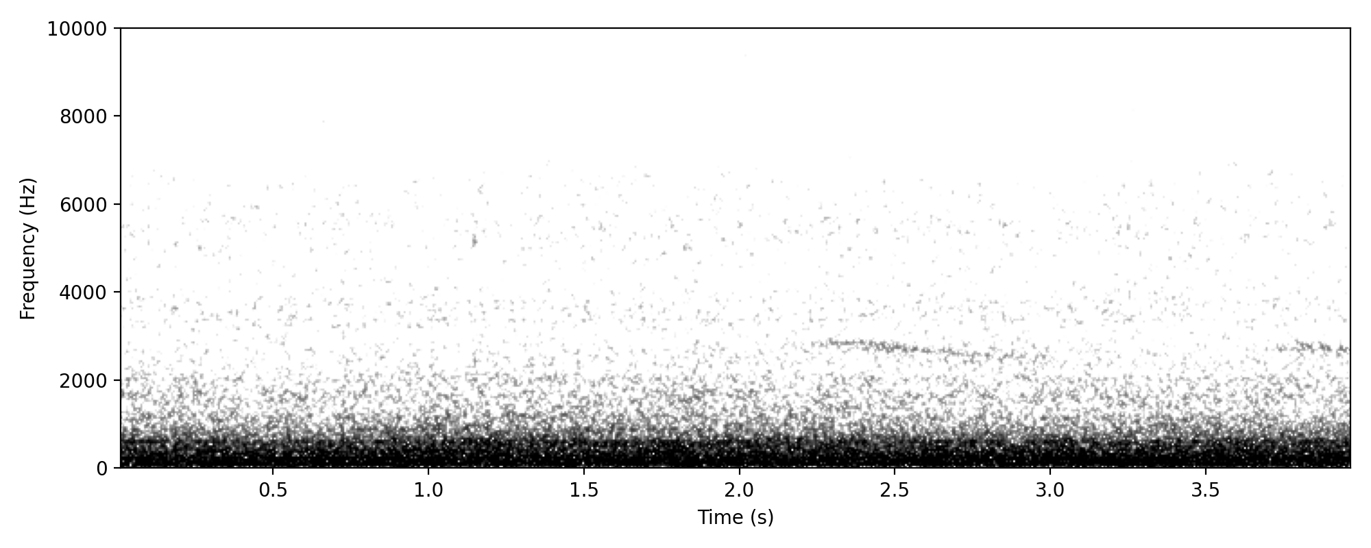Fan-tailed Cuckoo TRILL