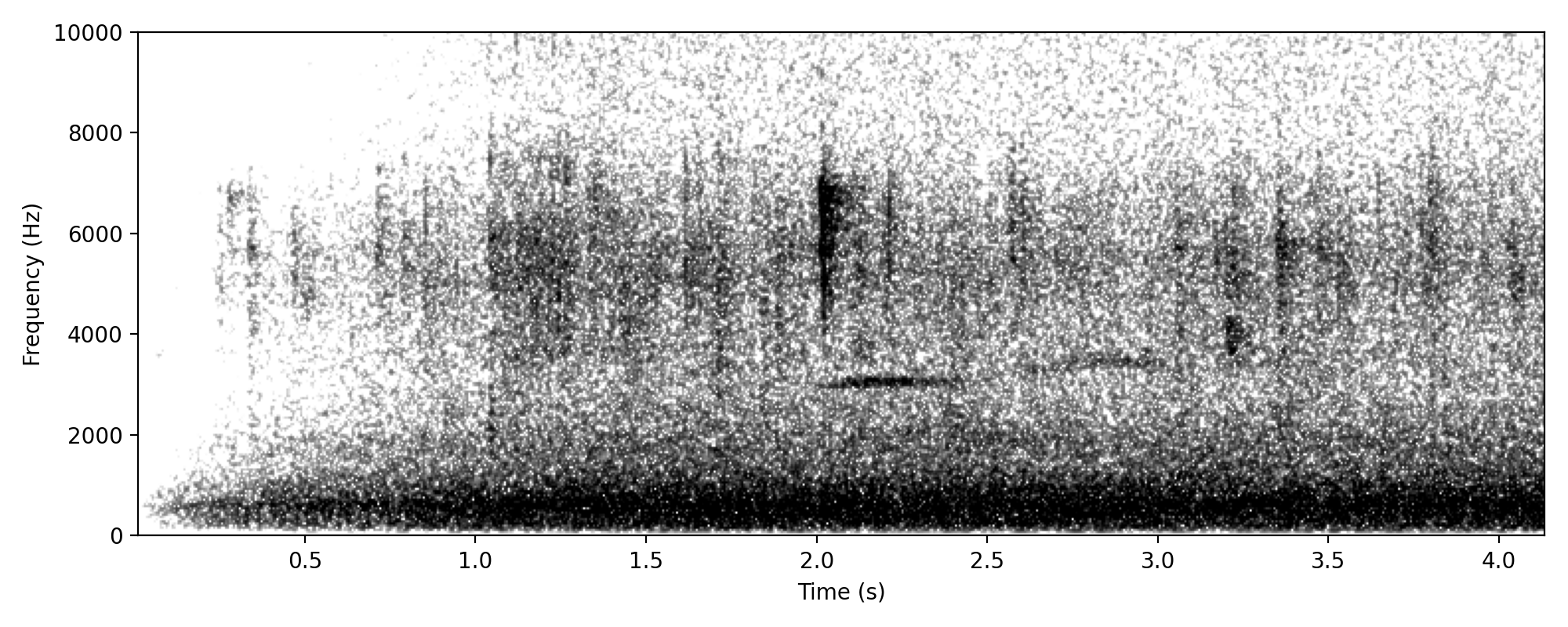 russet-tailed thrush-like