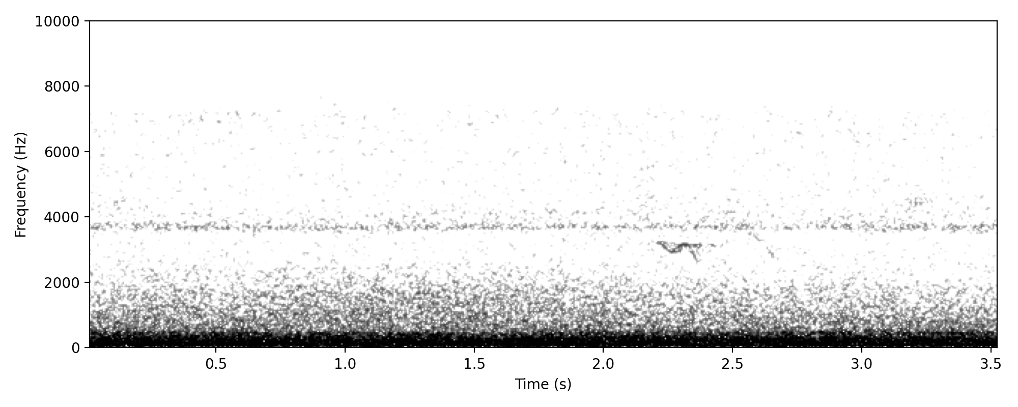 Brown Quail ONE-SHORT