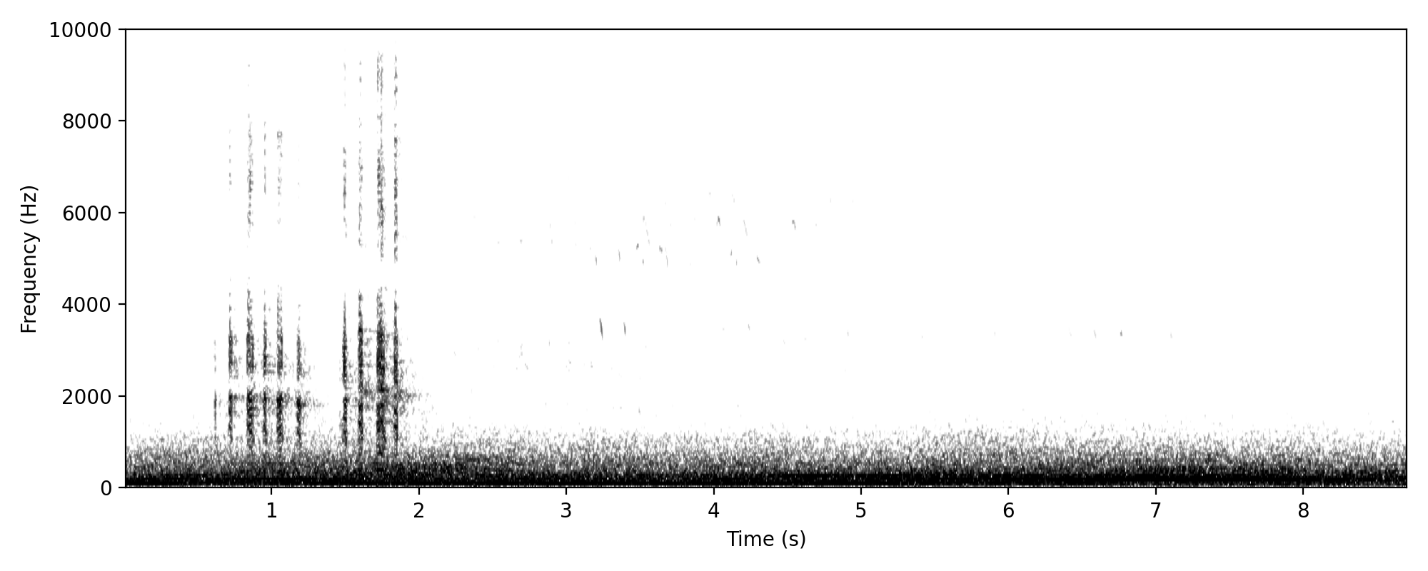 duck sp harsher quack wingbeats