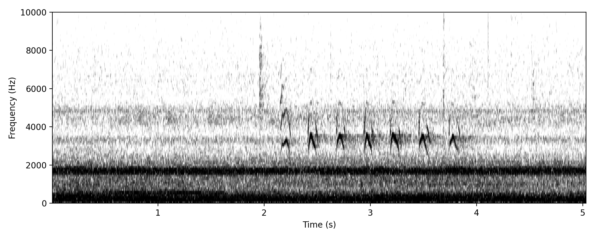 Typical call, this one has seven notes