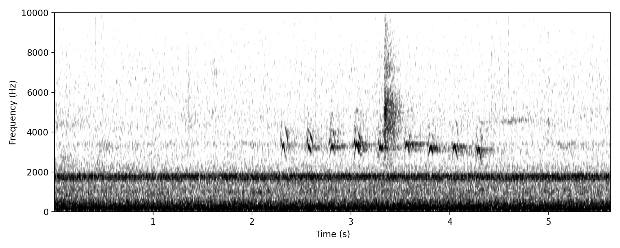 Longer sequence of nine notes.
