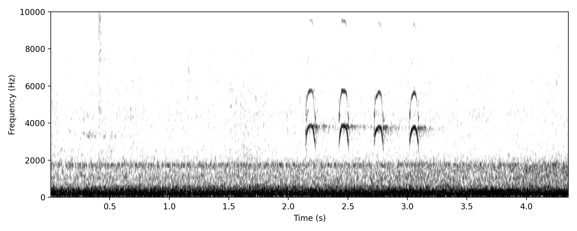 Four-note variant, rather high pitched, somewhat unusual. Is it possible this is something else?