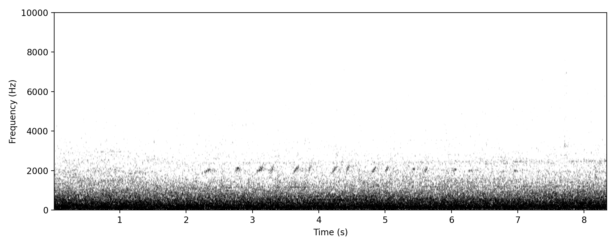 noisy miner-like double note