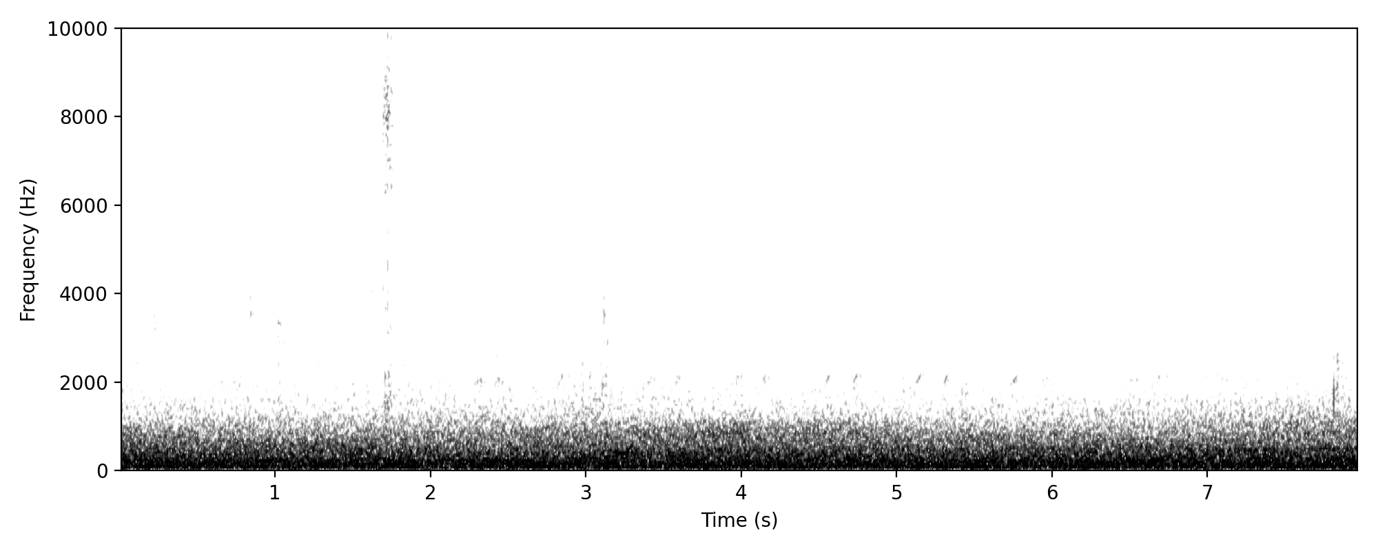 noisy miner-like double note