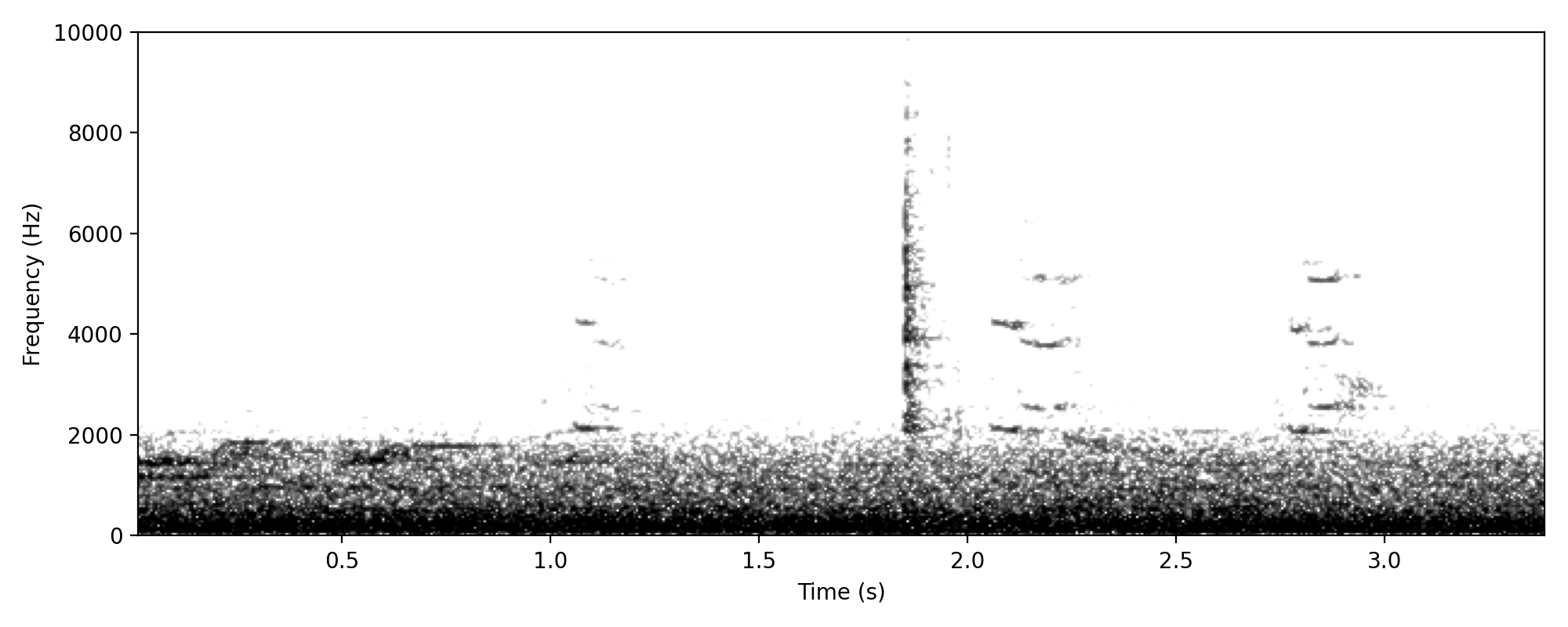 parrot-like anxiety call