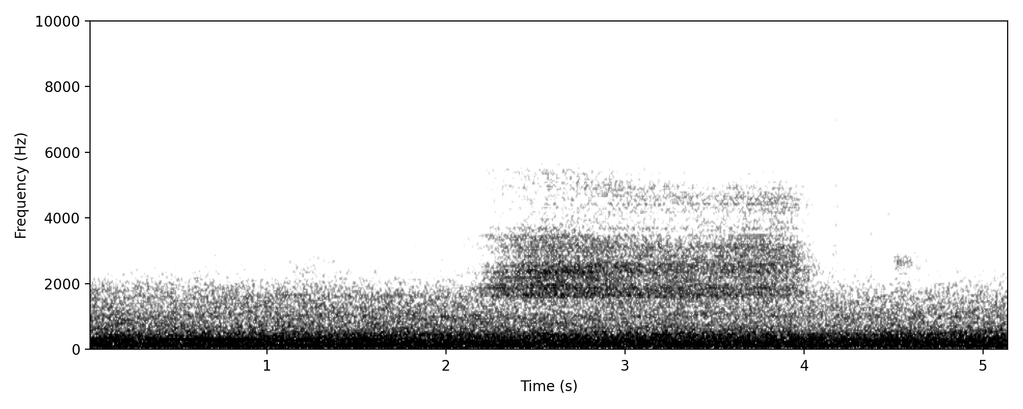 tyto-like screech