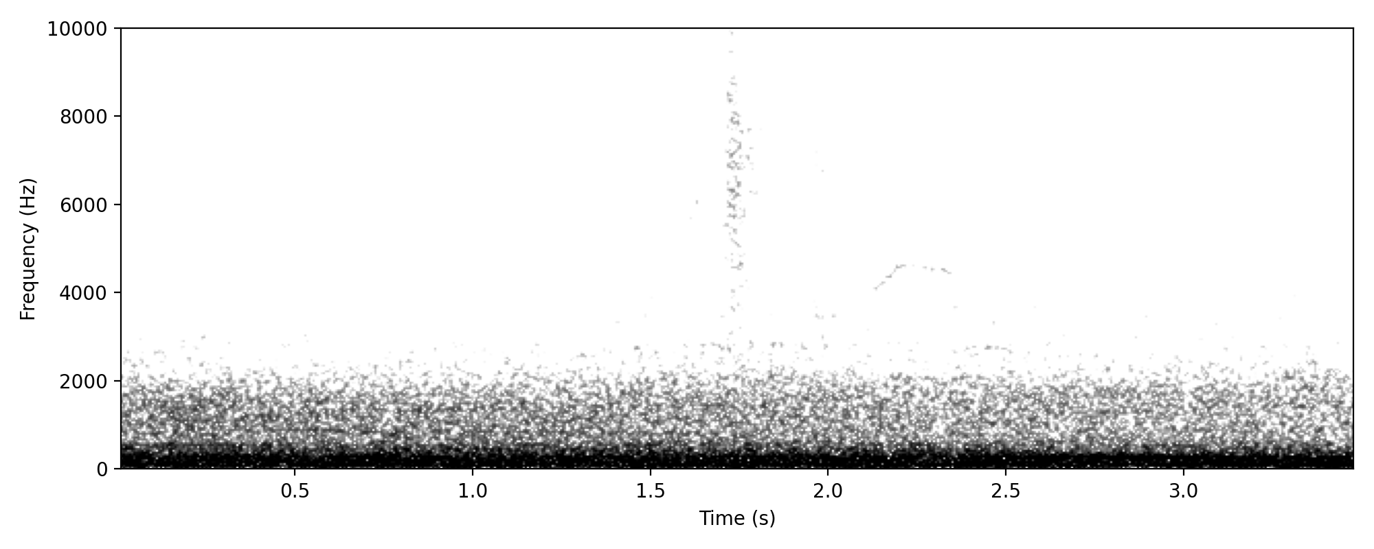 thin upwards whistle