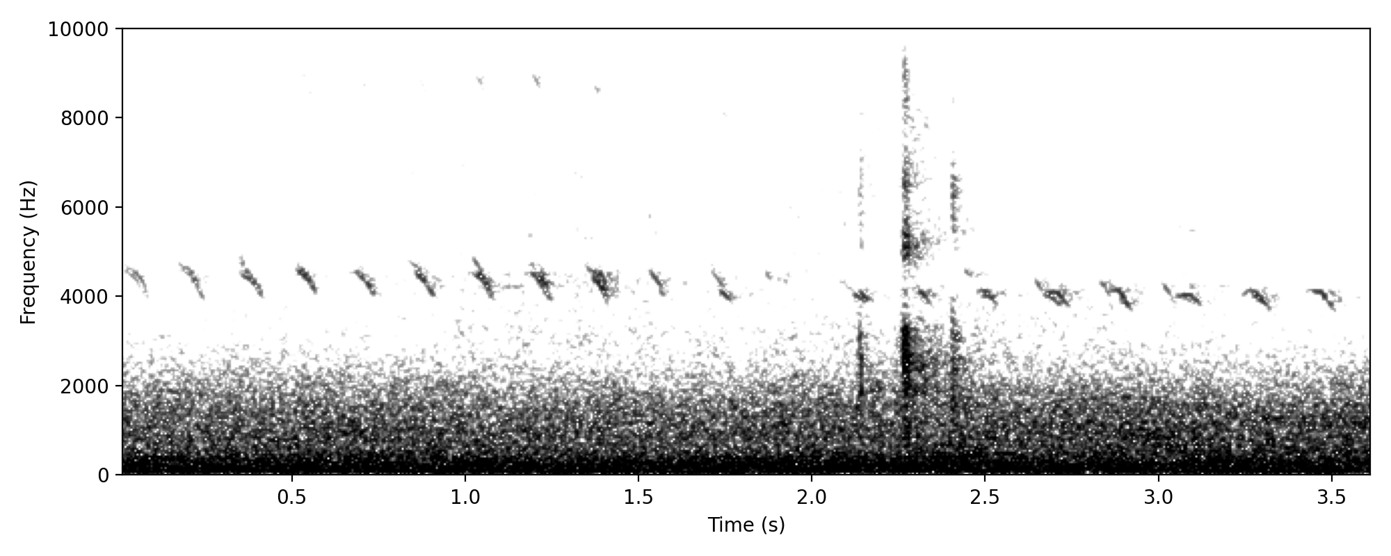 duck sp triple cluck flight call