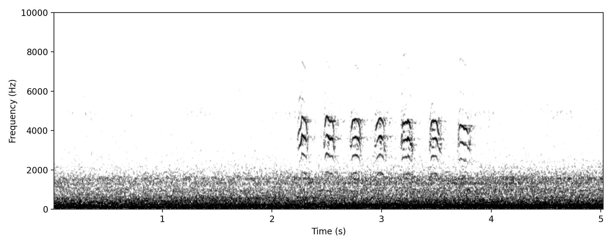 waterbird-like staccato