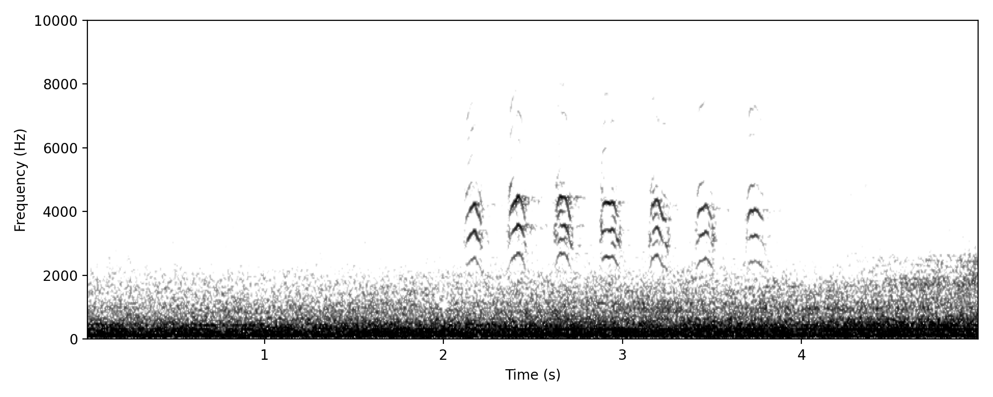 waterbird-like staccato