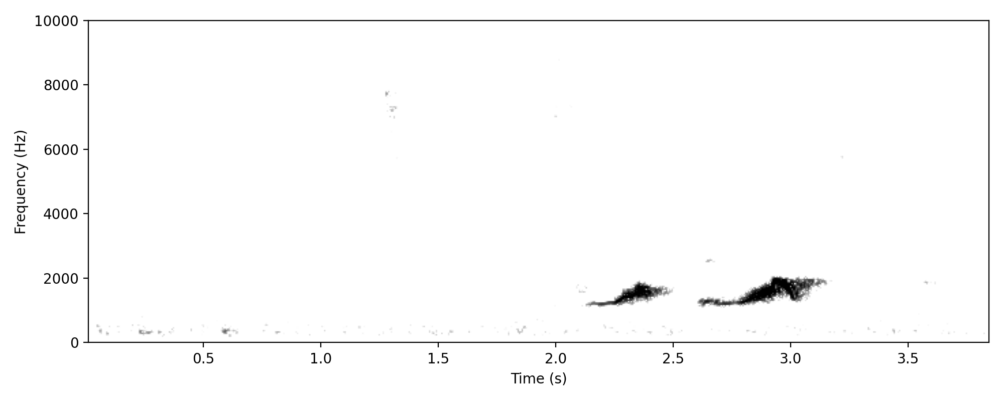 Noisy Pitta TWO-NOTE WHISTLE