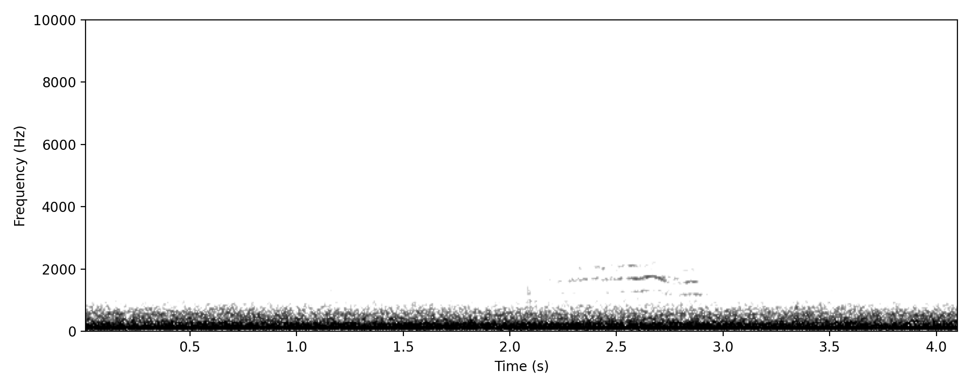 Australian Wood Duck IDENTITY CALL