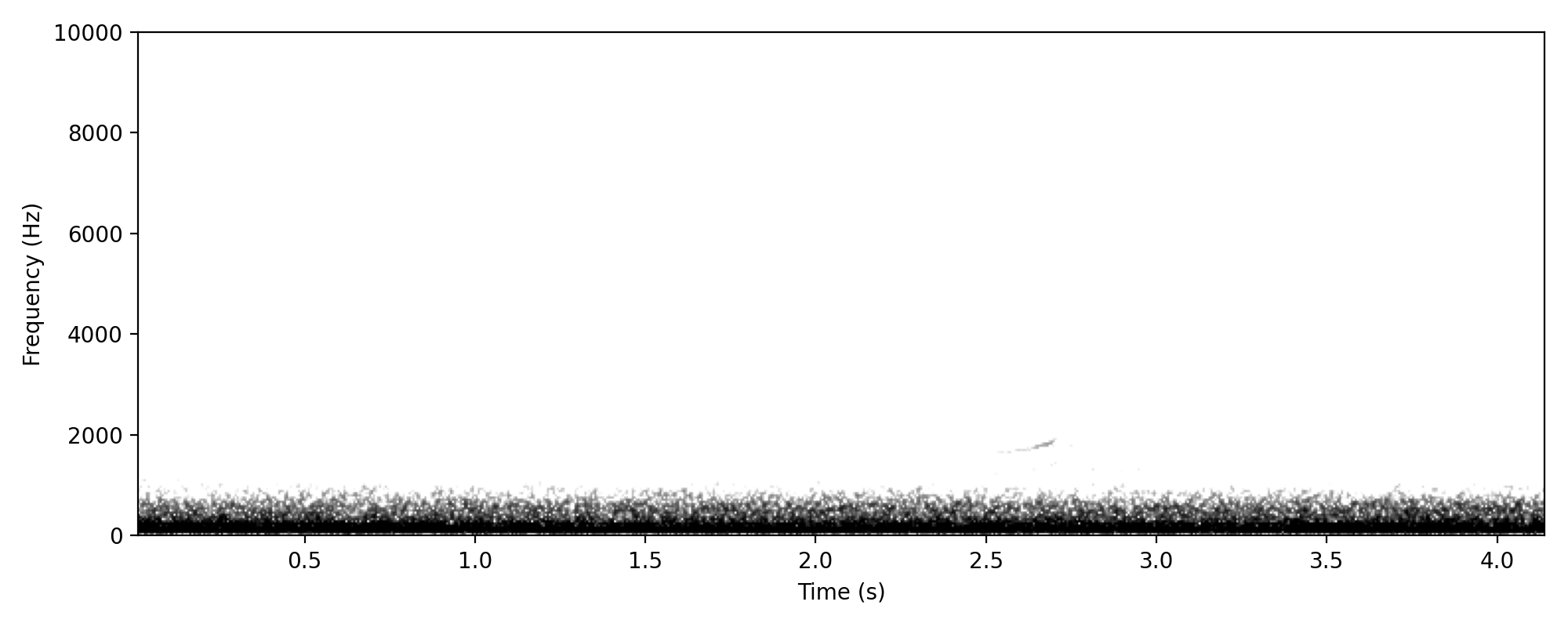 Australian Wood Duck IDENTITY CALL