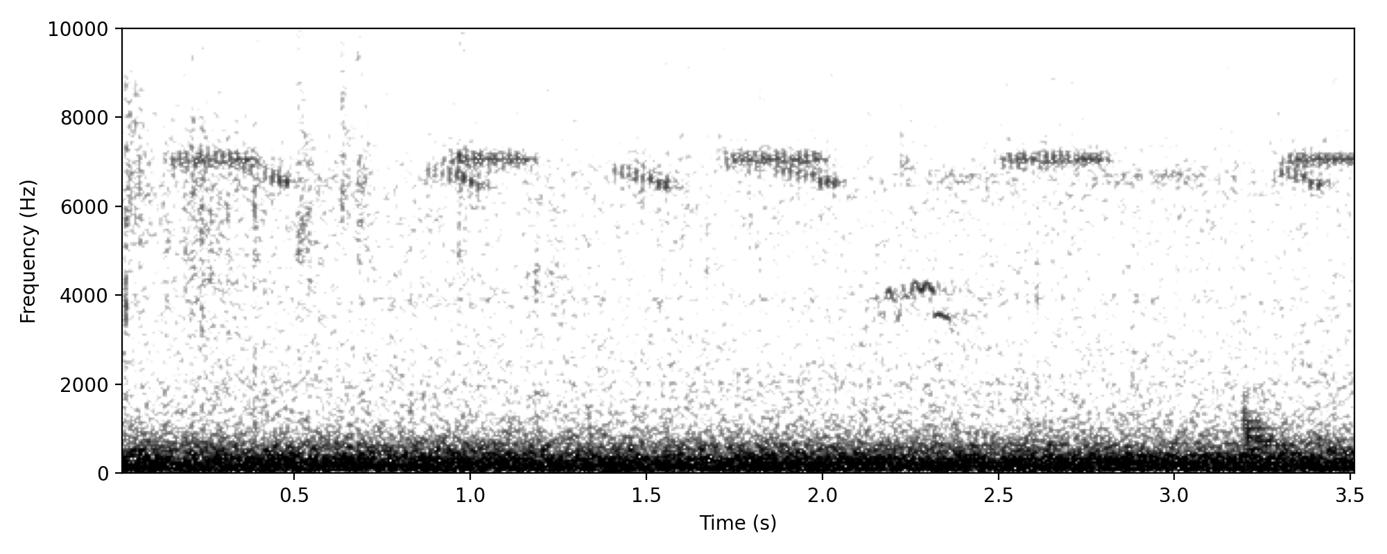 Not sure what this is