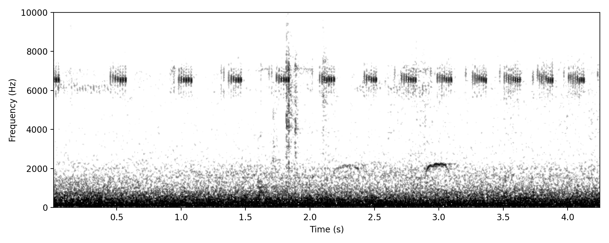 slow deep brown quail-like