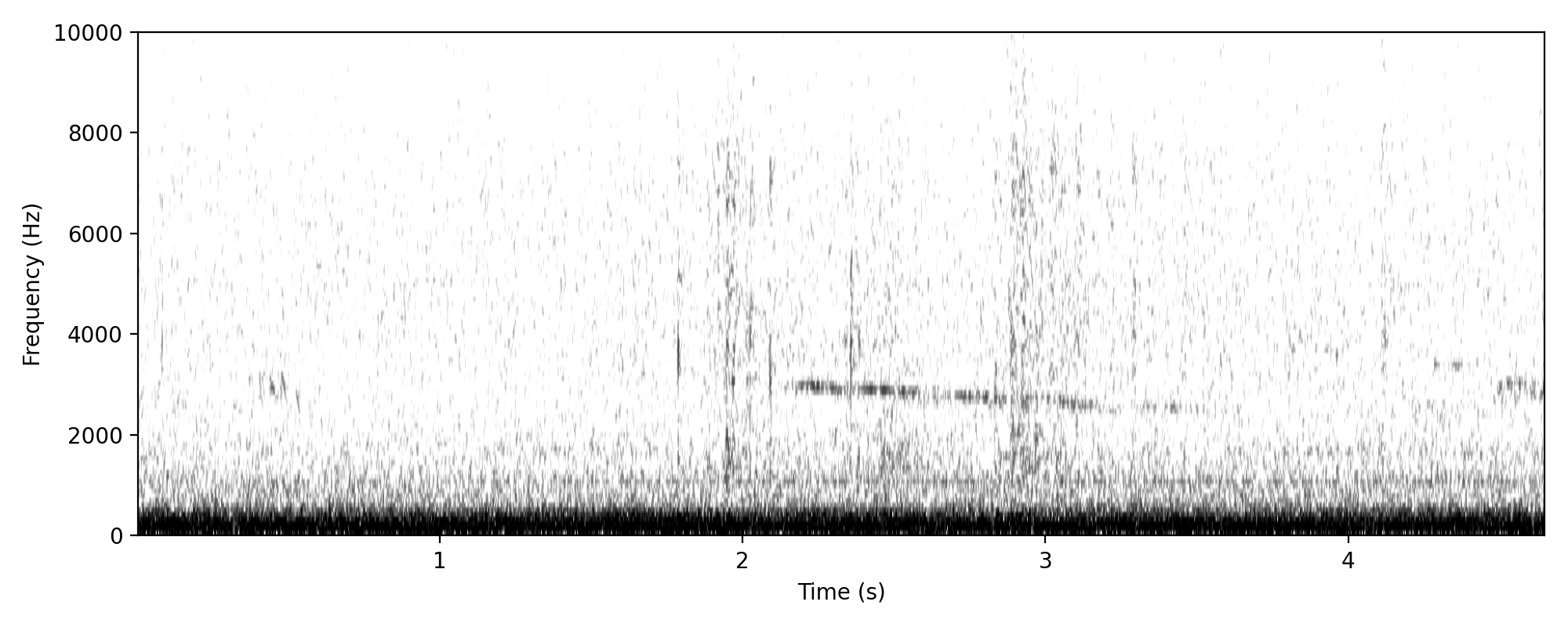 Little Bronze-cuckoo WHISTLING CALL