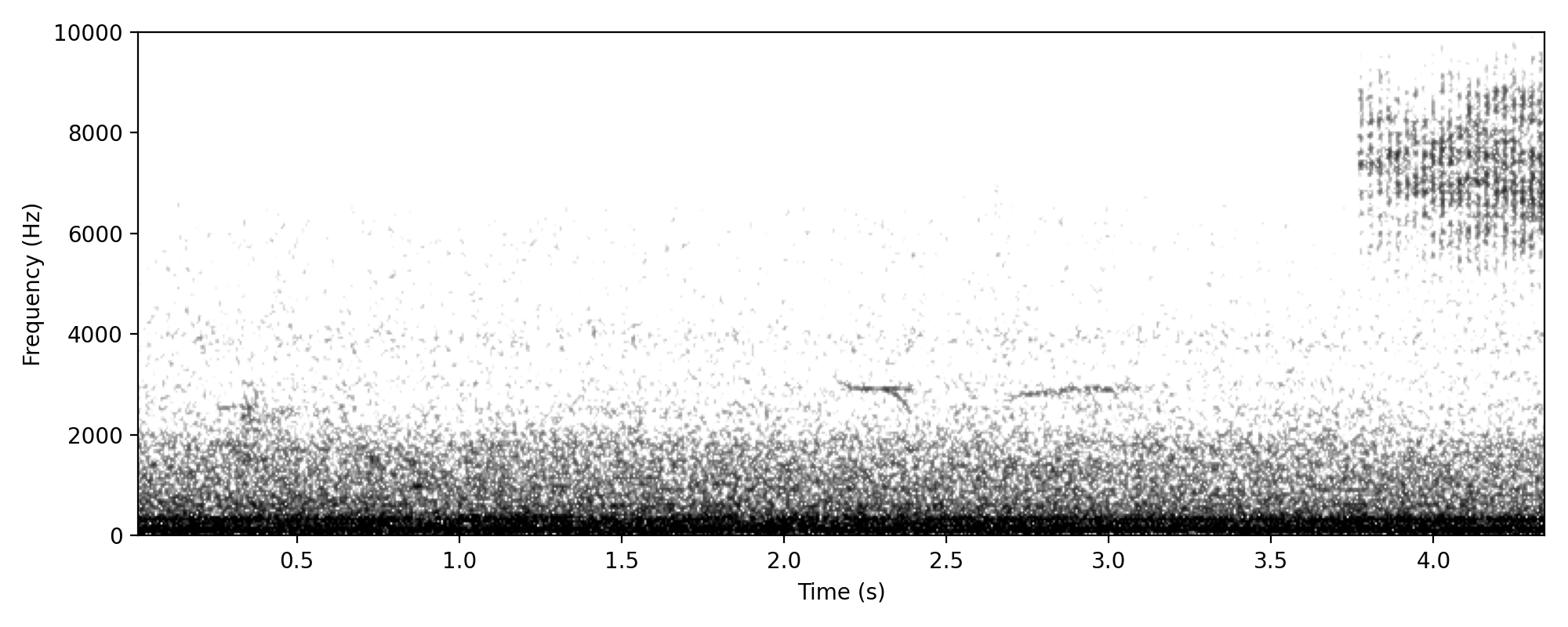brown quail-like low