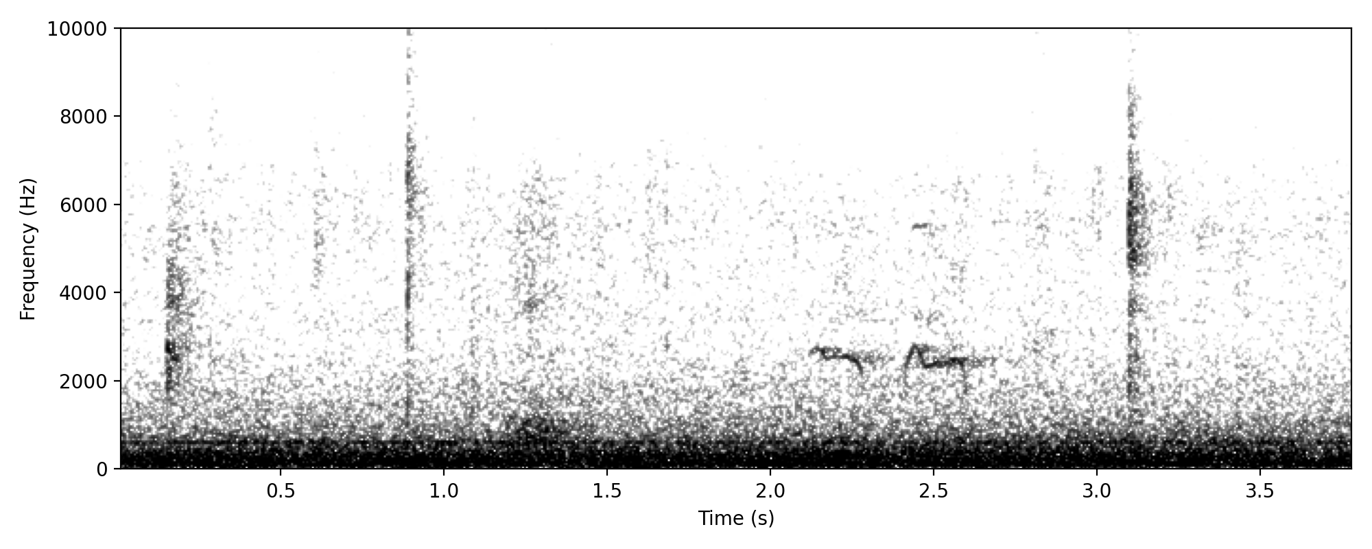 brown quail-like low