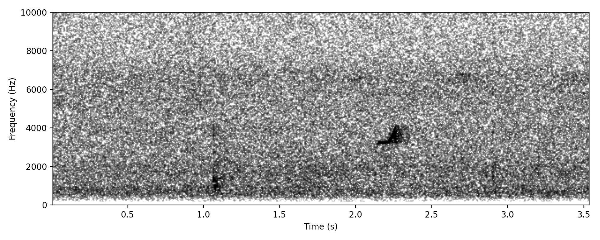 Rufous Whistler SINGLE-NOTE CALL