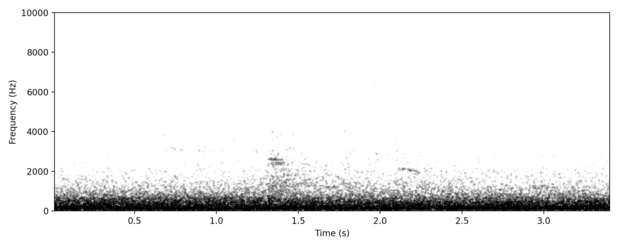 Grey Shrikethrush CLEAR CALL