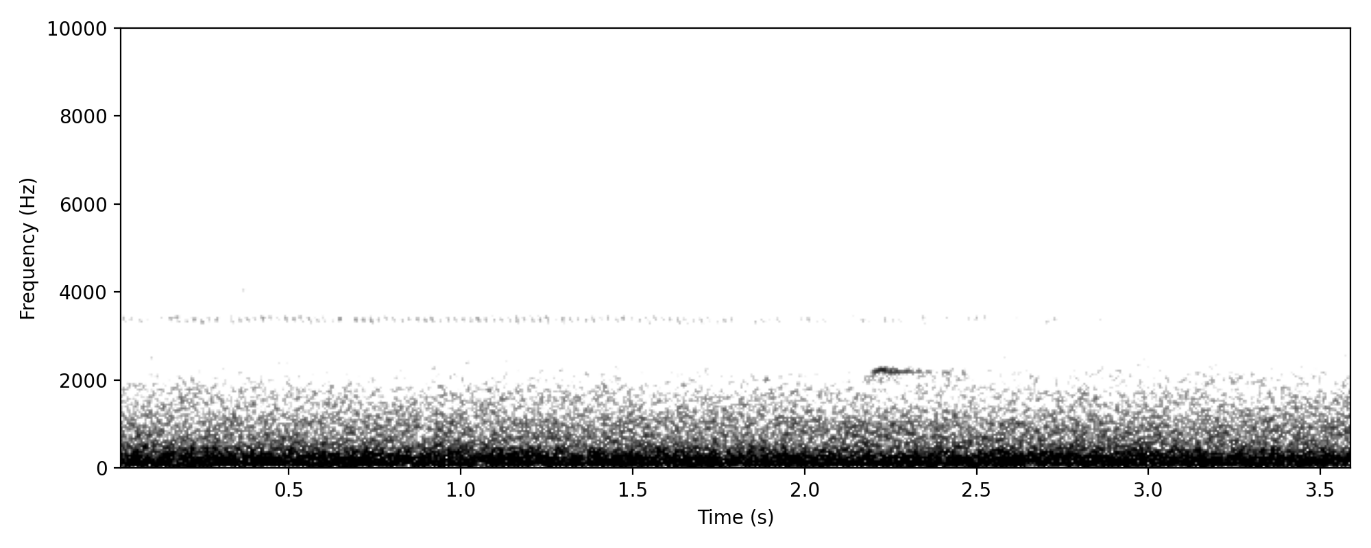 Grey Shrikethrush CLEAR CALL