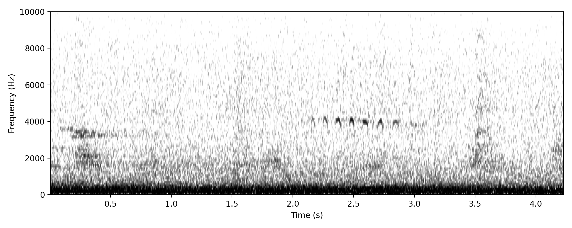 kingfisher-like trill