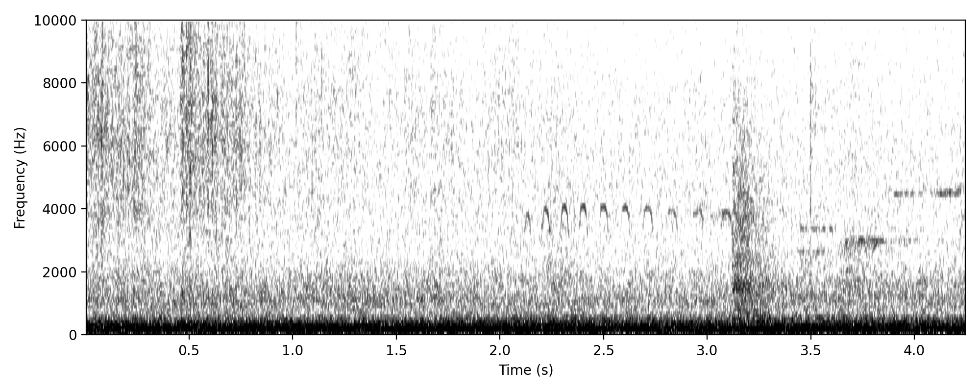 kingfisher-like trill