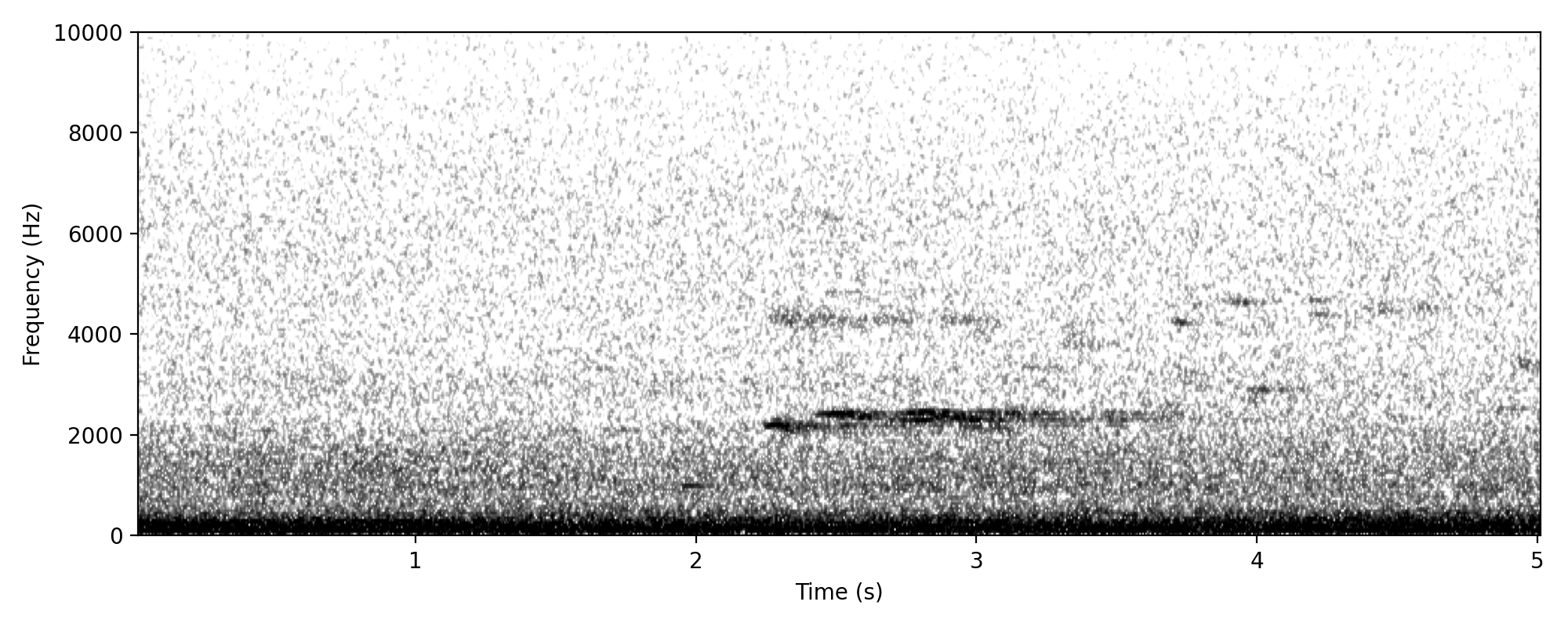 moorhen-like screech