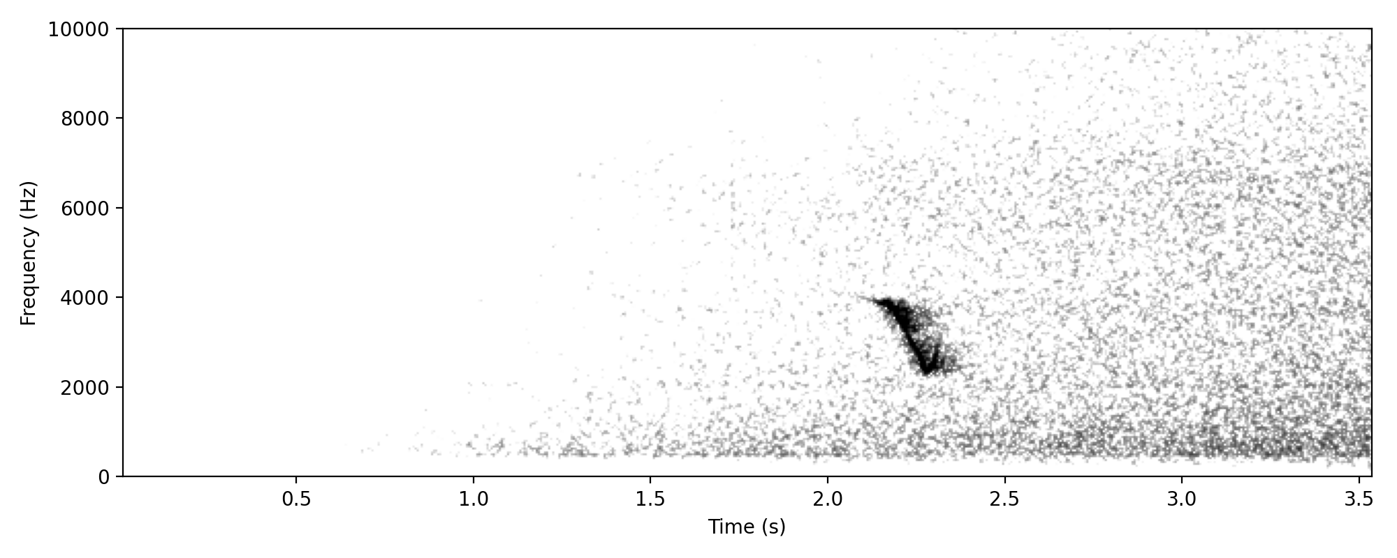 Seemingly Rufous or Golden Whistler