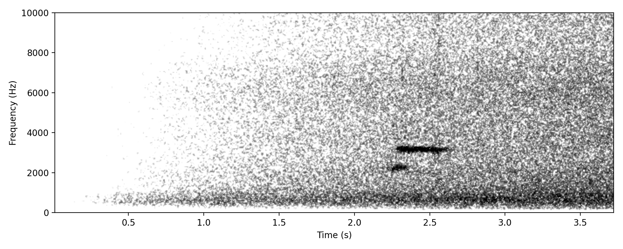 low buff-banded rail-like