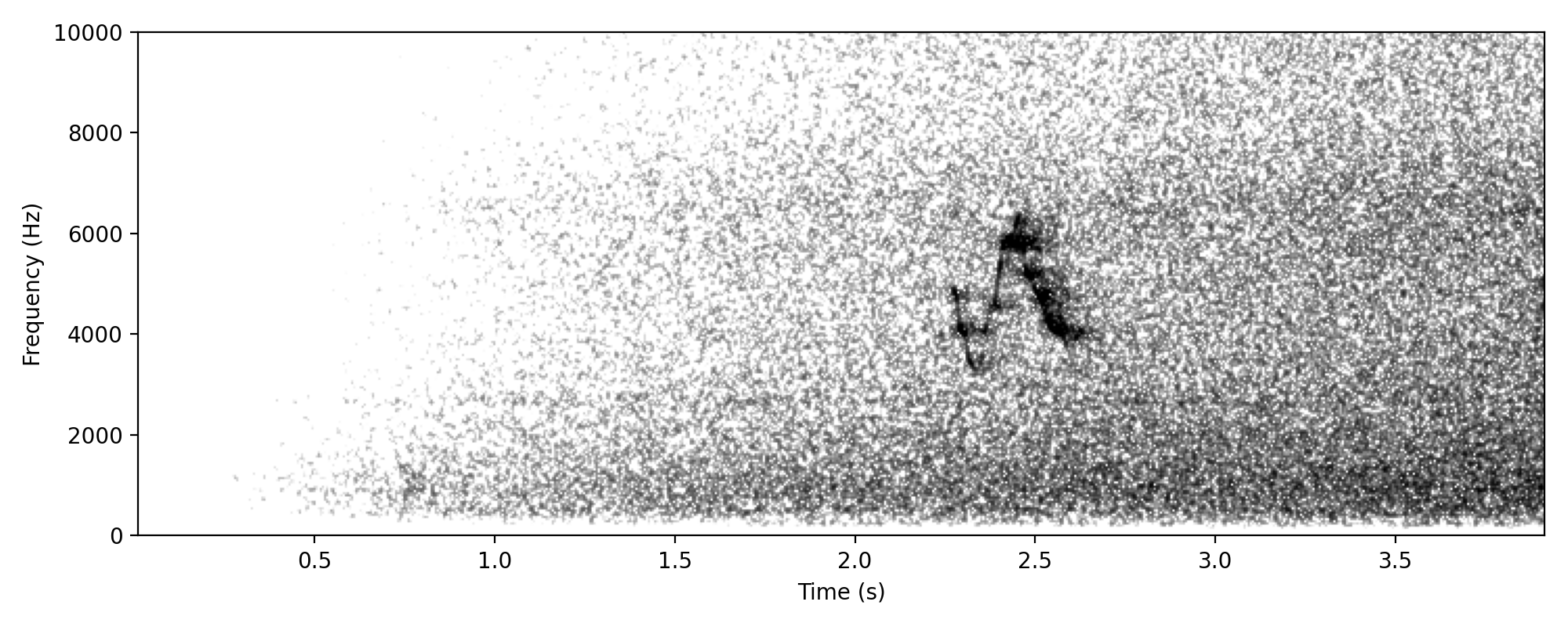 Plumed Whistling-duck WHISTLE