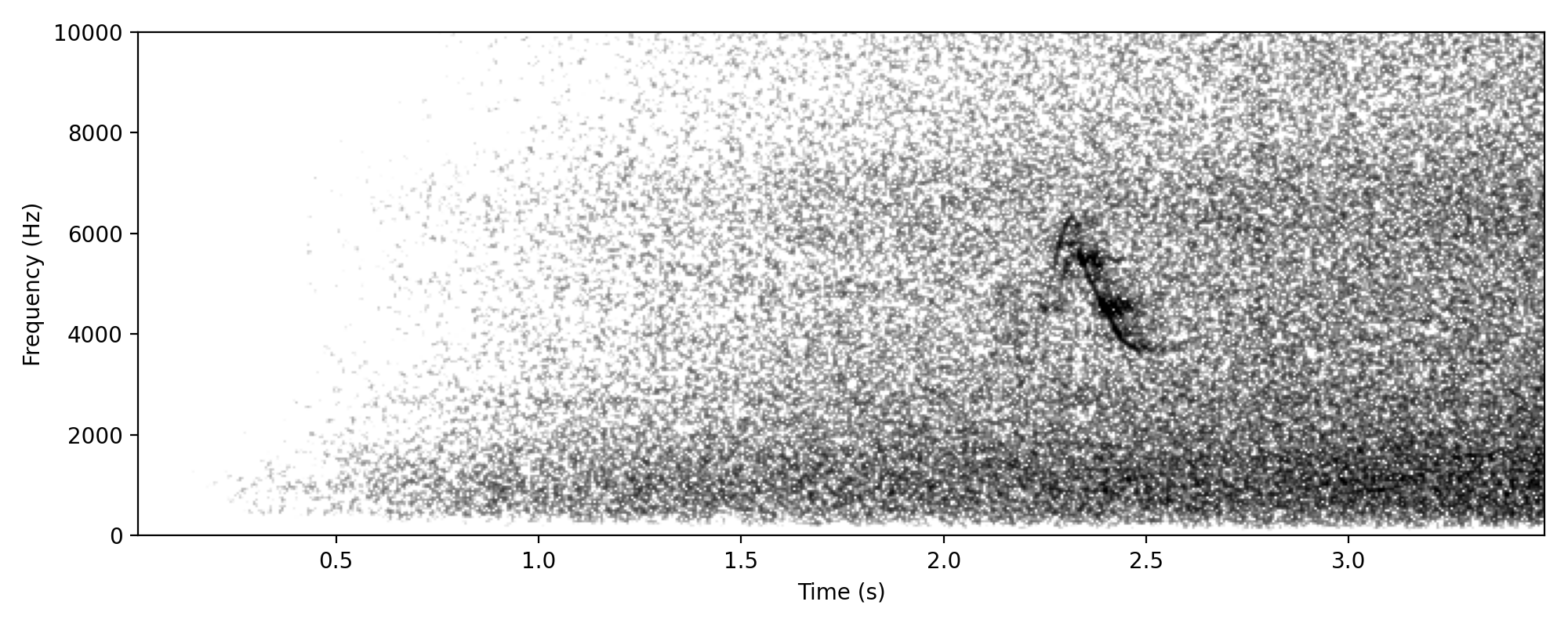 Plumed Whistling-duck WHISTLE