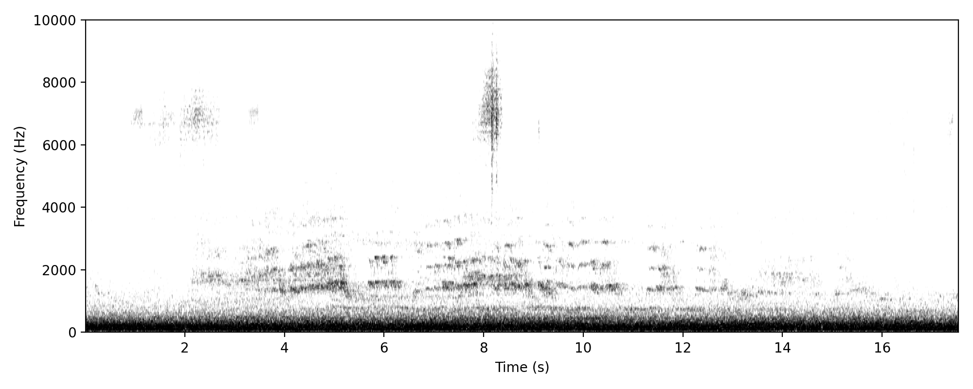 Laughing Kookaburra LAUGH