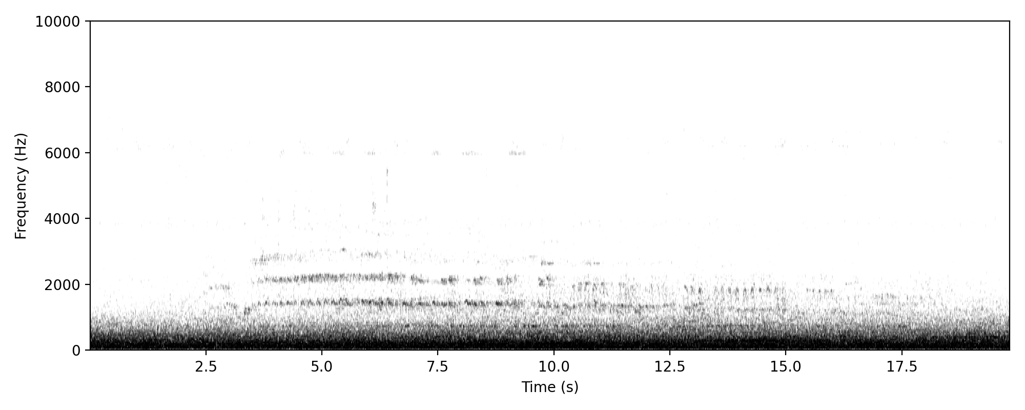 Laughing Kookaburra LAUGH