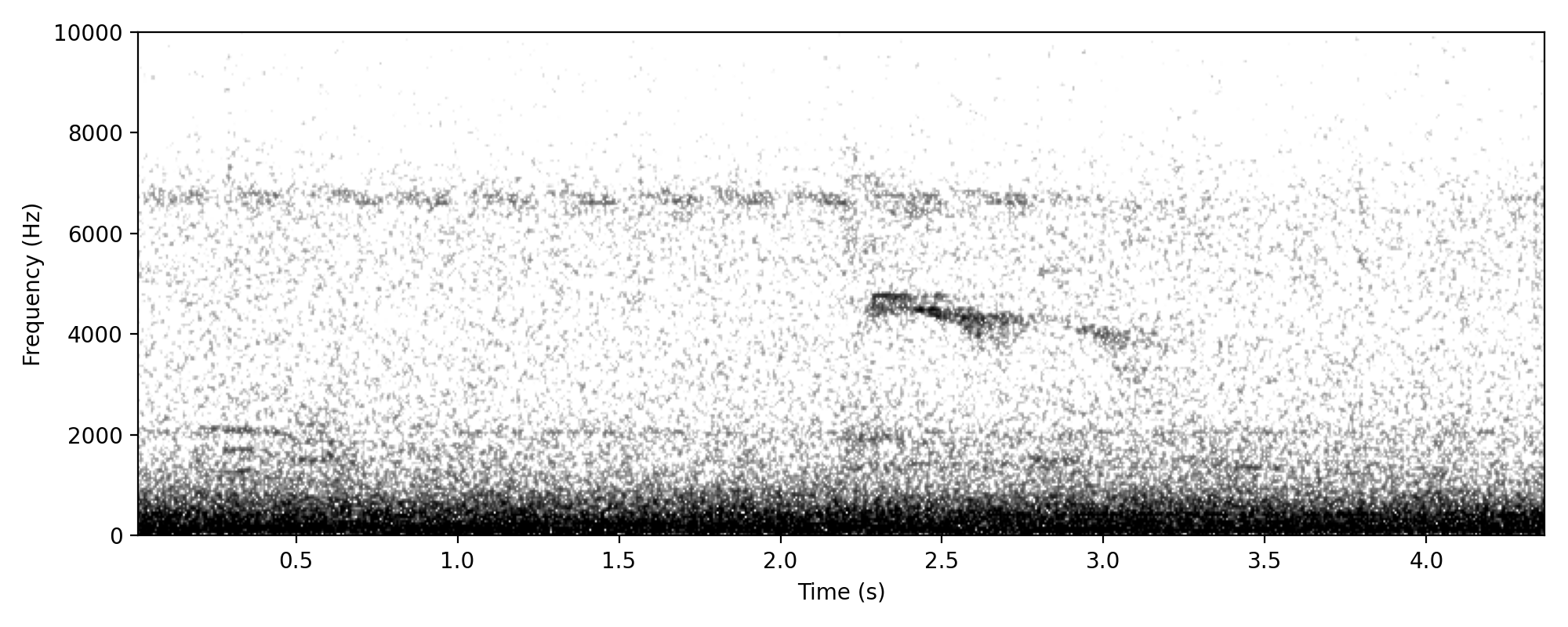 down-then-down-again-or-flying-fox