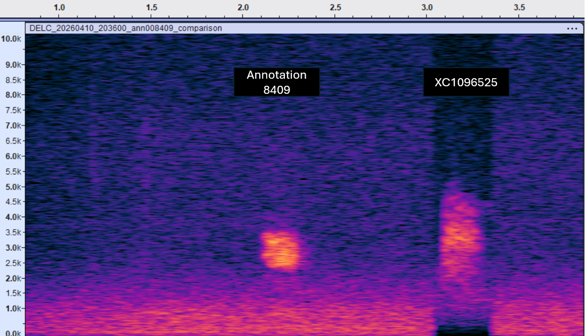Reference comparison for Baillon's Crake churr