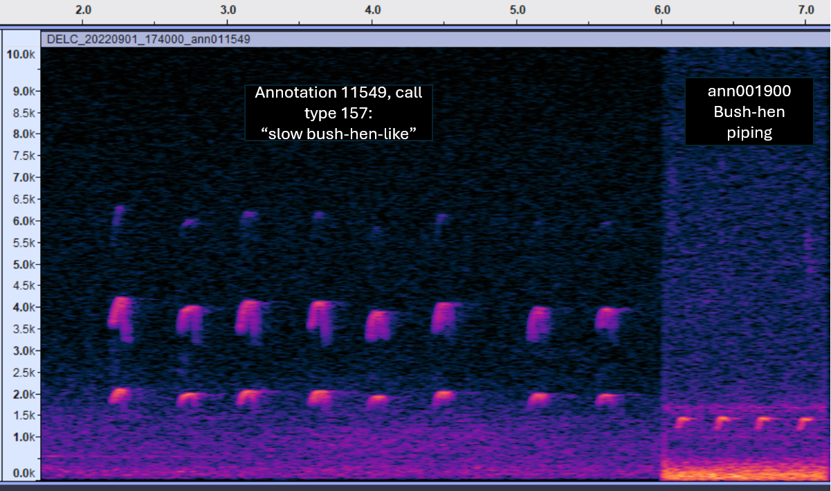 Reference comparison for slow bush-hen-like