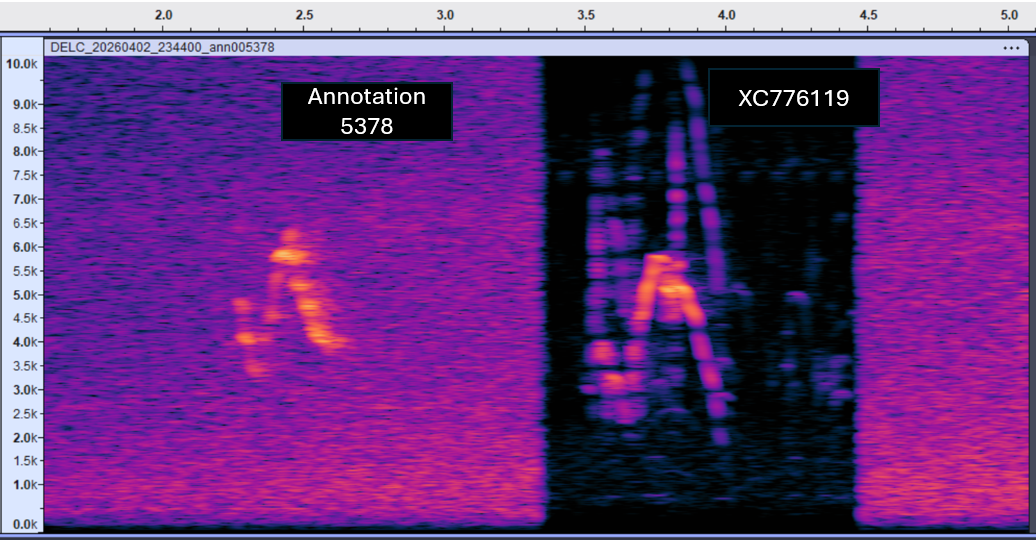 Reference comparison for Plumed Whistling-duck WHISTLE